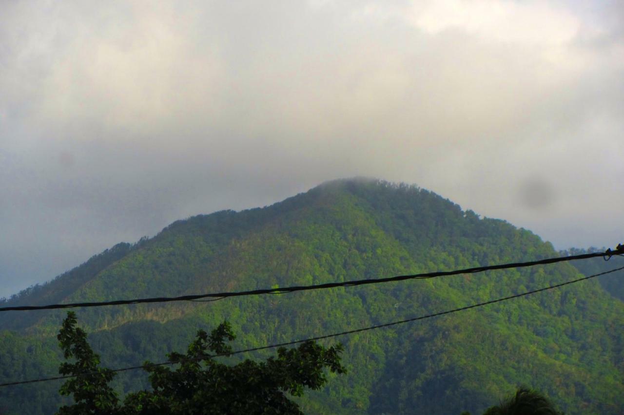 Or Bleu-Bungalow Volcan Soufriere-Vue Sur Mer Saint-Claude Exterior photo