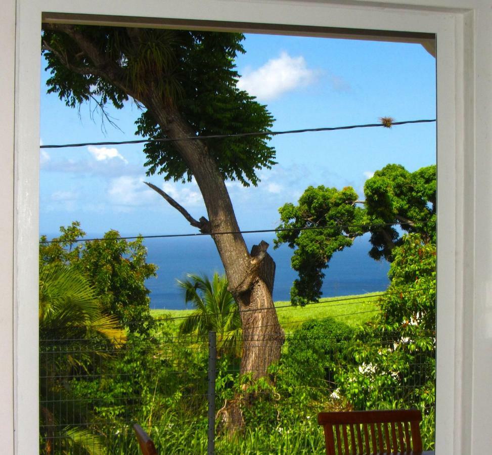 Or Bleu-Bungalow Volcan Soufriere-Vue Sur Mer Saint-Claude Exterior photo